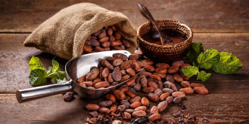 cacao mexicano en semilla
