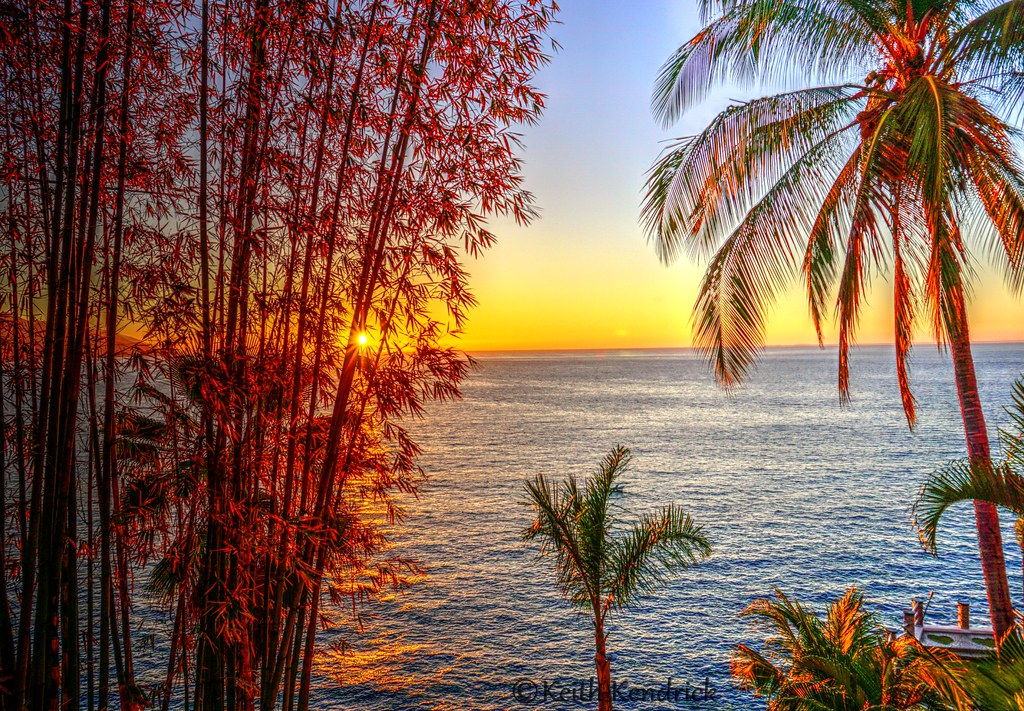 Sunset and palm trees